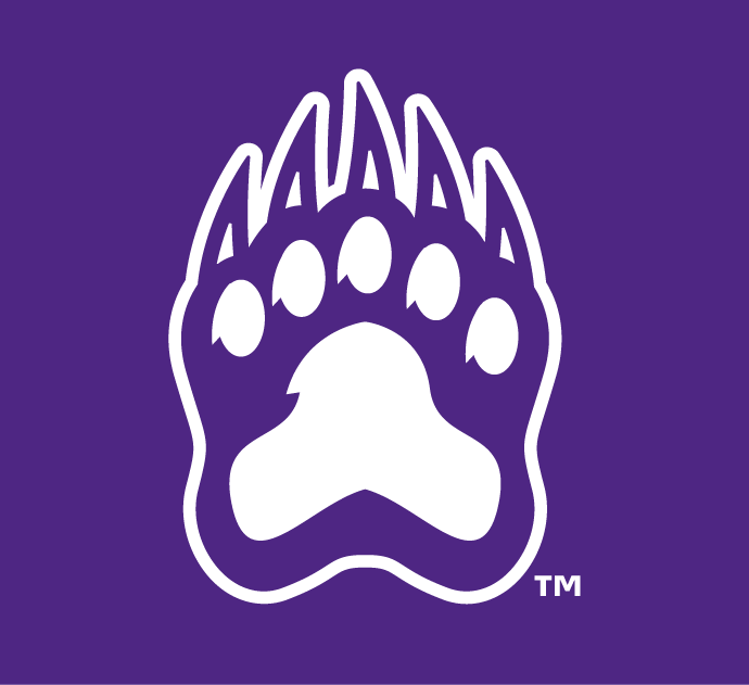 Central Arkansas Bears 2009-Pres Alternate Logo v5 diy iron on heat transfer
